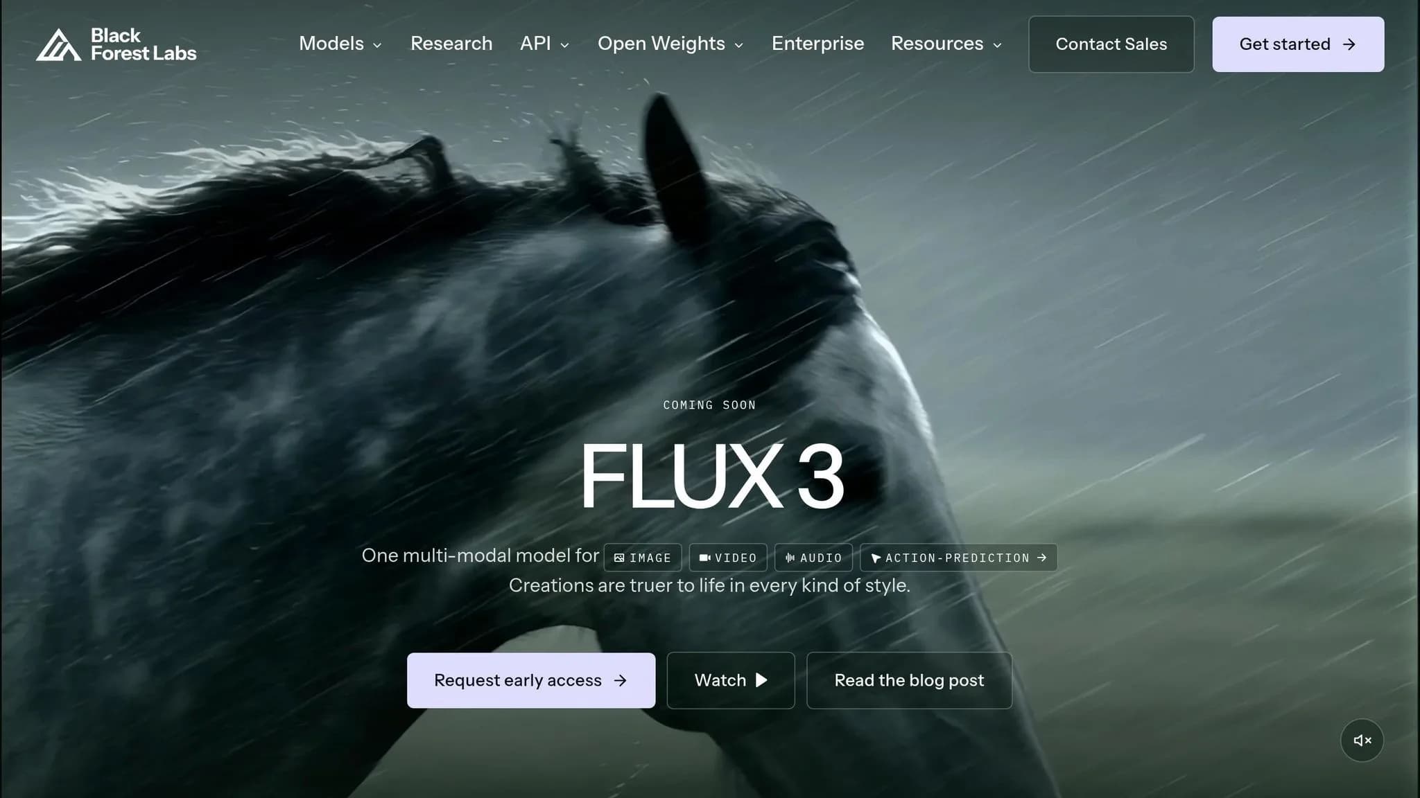 FLUX 3