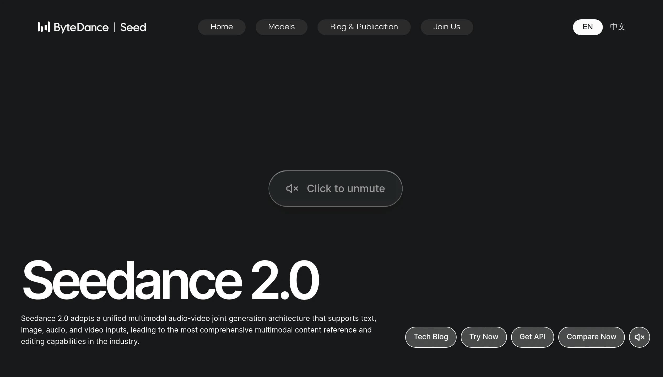 Seedance 2.0